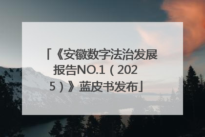 《安徽数字法治发展报告NO.1（2025）》蓝皮书发布