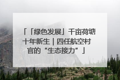 「绿色发展」千亩荷塘 十年新生｜四任航空村官的“生态接力”