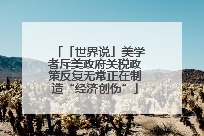 「世界说」美学者斥美政府关税政策反复无常正在制造“经济创伤”