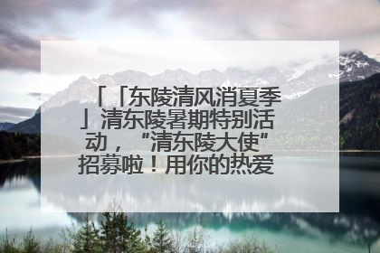 「东陵清风消夏季」清东陵暑期特别活动，“清东陵大使”招募啦！用你的热爱守护世界遗产！