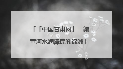 「中国甘肃网」一渠黄河水润泽民勤绿洲