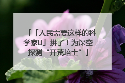 「人民需要这样的科学家⑭」拼了！为深空探测“开荒培土”