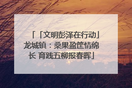 「文明彭泽在行动」龙城镇：桑果盈筐情绵长 育践五柳报春晖