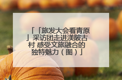 「旅发大会看青原」采访团走进渼陂古村 感受文旅融合的独特魅力（图）