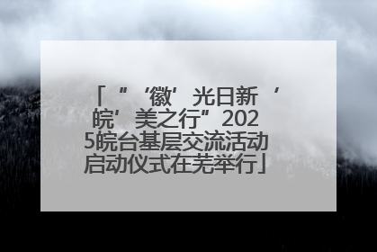 “‘徽’光日新‘皖’美之行”2025皖台基层交流活动启动仪式在芜举行
