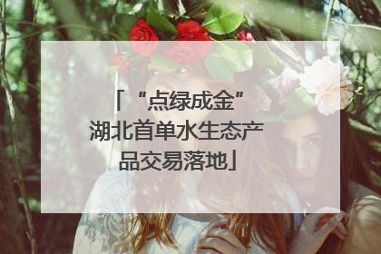 “点绿成金” 湖北首单水生态产品交易落地