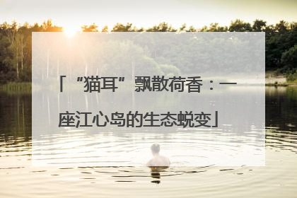 “猫耳”飘散荷香：一座江心岛的生态蜕变