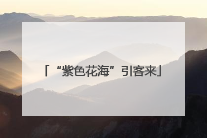 “紫色花海”引客来