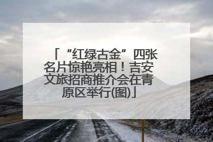 “红绿古金”四张名片惊艳亮相！吉安文旅招商推介会在青原区举行(图)