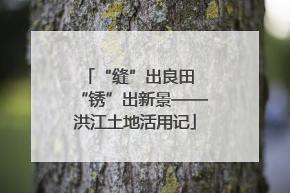 “缝”出良田 “锈”出新景——洪江土地活用记