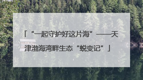 “一起守护好这片海”——天津渤海湾畔生态“蜕变记”