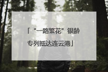 “一路繁花”银龄专列抵达连云港