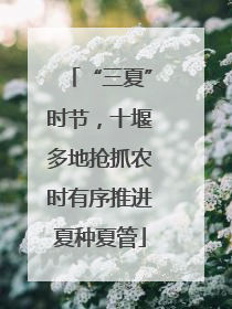 “三夏”时节，十堰多地抢抓农时有序推进夏种夏管