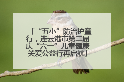 “五小”防治护童行，连云港市第二届庆“六一”儿童健康关爱公益行再启航