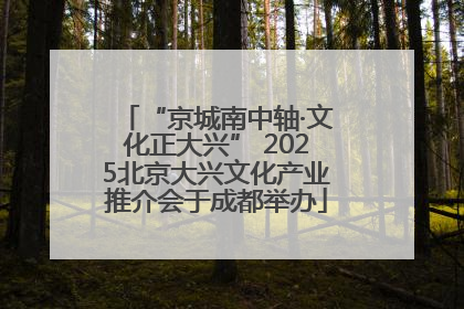 “京城南中轴·文化正大兴” 2025北京大兴文化产业推介会于成都举办
