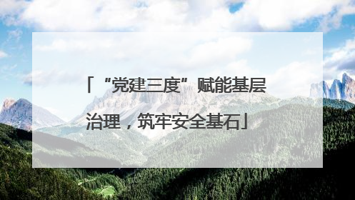 “党建三度”赋能基层治理，筑牢安全基石