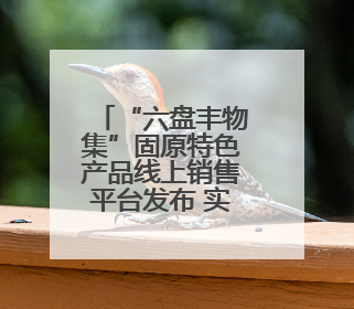 “六盘丰物集”固原特色产品线上销售平台发布 实现24小时内发货