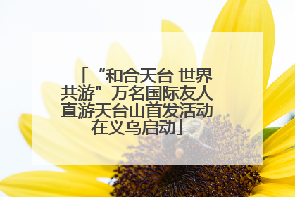 “和合天台 世界共游”万名国际友人直游天台山首发活动在义乌启动