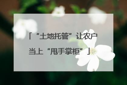 “土地托管”让农户当上“甩手掌柜”
