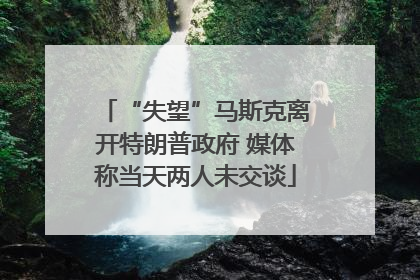 “失望”马斯克离开特朗普政府 媒体称当天两人未交谈