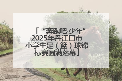 “奔跑吧·少年”2025年丹江口市小学生足（篮）球锦标赛圆满落幕