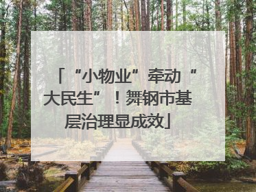 “小物业”牵动“大民生”！舞钢市基层治理显成效