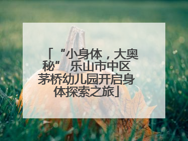 “小身体，大奥秘” 乐山市中区茅桥幼儿园开启身体探索之旅