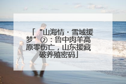 “山海情・雪域援梦”②：鲁中肉羊高原零伤亡，山东援藏破养殖密码
