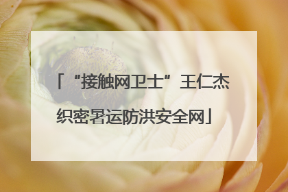 “接触网卫士”王仁杰织密暑运防洪安全网