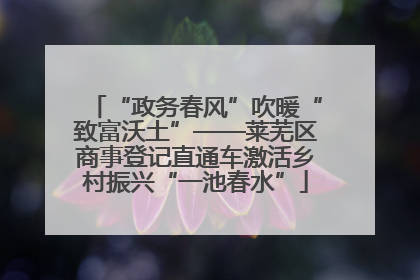 “政务春风”吹暖“致富沃土”——莱芜区商事登记直通车激活乡村振兴“一池春水”