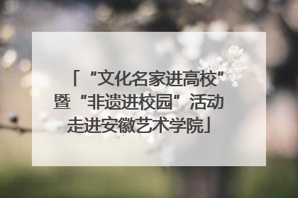“文化名家进高校”暨“非遗进校园”活动走进安徽艺术学院