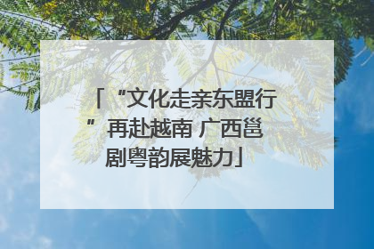 “文化走亲东盟行”再赴越南 广西邕剧粤韵展魅力