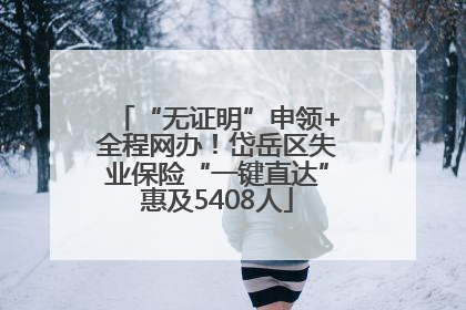 “无证明”申领+全程网办！岱岳区失业保险“一键直达”惠及5408人