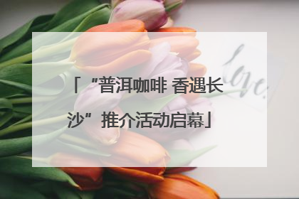 “普洱咖啡 香遇长沙”推介活动启幕