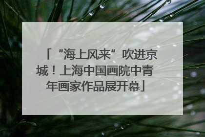 “海上风来”吹进京城！上海中国画院中青年画家作品展开幕