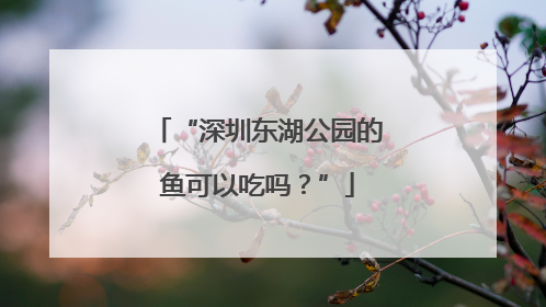 “深圳东湖公园的鱼可以吃吗？”