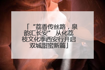 “荔香传丝路，泉韵汇长安” 从化荔枝文化季西安行开启双城甜蜜新篇