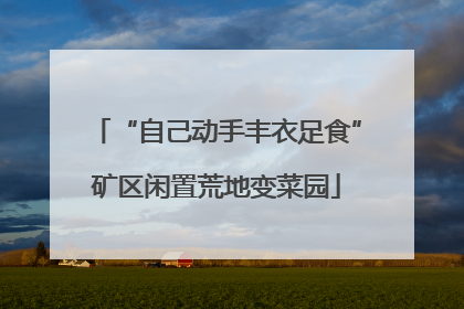 “自己动手丰衣足食”矿区闲置荒地变菜园