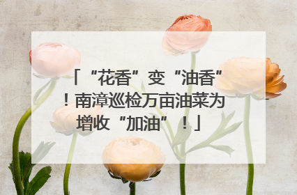 “花香”变“油香”！南漳巡检万亩油菜为增收“加油”！