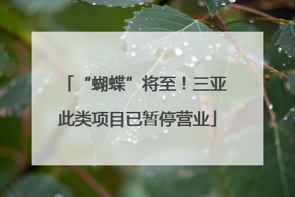 “蝴蝶”将至！三亚此类项目已暂停营业