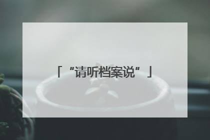 “请听档案说”