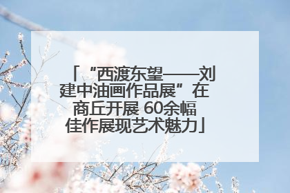 “西渡东望——刘建中油画作品展”在商丘开展 60余幅佳作展现艺术魅力