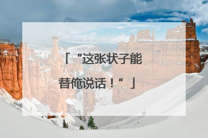 “这张状子能替俺说话！”