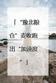 “豫北粮仓”麦收跑出“加速度”