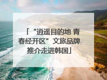“逍遥目的地 青春经开区”文旅品牌推介走进韩国
