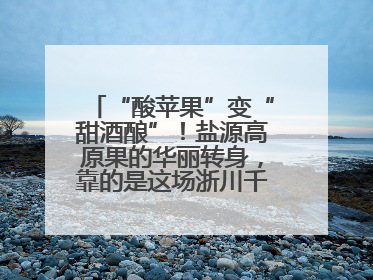 “酸苹果”变“甜酒酿”！盐源高原果的华丽转身，靠的是这场浙川千里“联姻”