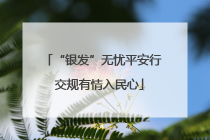 “银发”无忧平安行 交规有情入民心