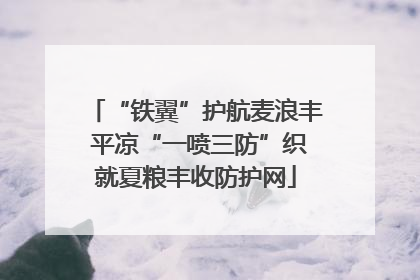 “铁翼”护航麦浪丰 平凉“一喷三防”织就夏粮丰收防护网