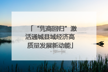 “隽商回归”激活通城县域经济高质量发展新动能