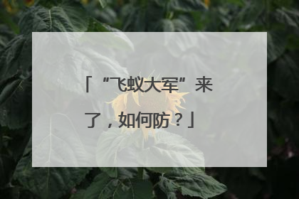 “飞蚁大军”来了，如何防？